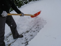 Mokry śnieg to pułapka dla ogrodu. Wielu robi to automatycznie i żałuje