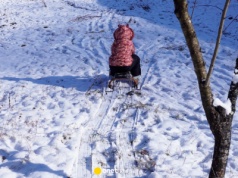 Bezpieczna jazda na sankach. O czym pamiętać, by zimowa zabawa nie skończyła się wypadkiem?