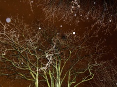 Ostrzeżenie przed silnym wiatrem