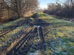 Rolnicy zdewastowali wały nad Odrą. Wody Polskie: realne zagrożenie dla bezpieczeństwa