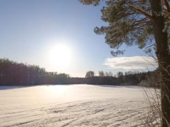 Czy wiesz, że … las nie odlicza sekund do Nowego Roku?