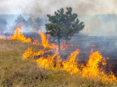 Wyższe kary za wypalanie traw i zagrożenie pożarem