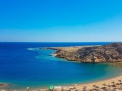 Atak ryby na plaży. Rosyjski turysta trafił do szpitala