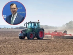 Płatność dla małych gospodarstw 3 razy wyższa? Sprawdziliśmy, co zrobi Polska