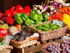 W nich kumuluje się najwięcej chemii. Pestycydy i metale ciężkie przenikają do ich wnętrza