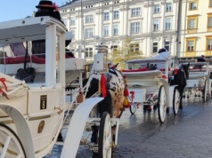 Dorożki znikną z Rynku Głównego na kilka godzin