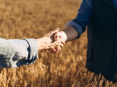 Rewolucja w rolnictwie. Znikną ustne umowy dzierżawy gruntów rolnych