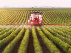 Przebić umowę z Mercosur osikowym kołkiem. Francja zapowiada zakaz czyniący z paktu martwy zapis