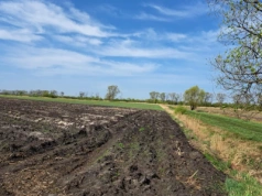 Czy program rolno-środowiskowo-klimatyczny jeszcze się rolnikom opłaca?