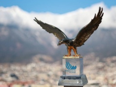 Turniej Czterech Skoczni 2025/2026. Kiedy i o której są konkursy? Terminarz