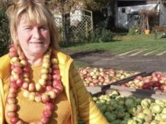 Pani Dorota i jej sad: jabłka, morele i pikniki