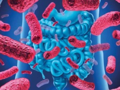 Mikrobiota jelitowa a odporność organizmu