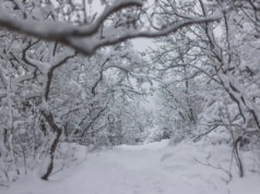 IMGW ostrzega przed dużymi mrozami
