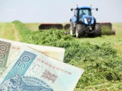 Rewolucja w dopłatach. Nie każdy rolnik dostanie pieniądze w 2026 r.