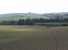 Rolnik ryczałtowy a sprzedaż gruntów pod zabudowę. Czy trzeba zapłacić VAT?