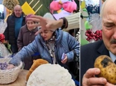 Atak skrytożerców na wystawę dobrobytu! (WIDEO)