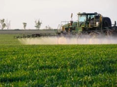 Bruksela zabiera zaprawy. Rolnicy alarmują: zagrożone zboża