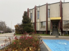 Miłość w statystykach i poza urzędem. Częstochowa coraz chętniej mówi „tak” po swojemu