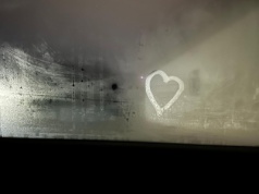 Niecodzienna „randka” na prywatnym terenie w Kętach