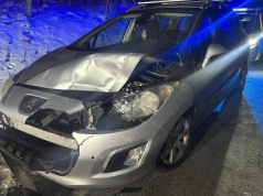 Laski - potrącenie sarny