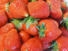 Czy kupimy polskie truskawki w sklepie w 2026 roku?