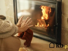 To drewno to prawdziwy zabójca kominków. Kilka tygodni i komin nie nadaje się do użytku