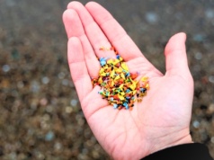 Mikroplastik jest wszędzie. "Walczymy o życie przyszłych pokoleń"