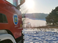 Jezioro było silniejsze. Strażacy wezwani do topiącej się sarny