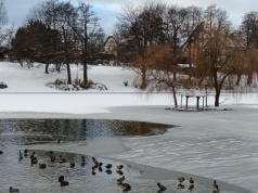 Mróz chwycił, ale nie dajmy się oszukać. Kiedyś to były zimy