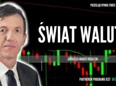 Dolar przed mocniejszym ruchem w styczniu? Świat walut Marka Rogalskiego