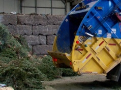 500 zł kary za choinkę po świętach. Tego błędu nie można popełnić