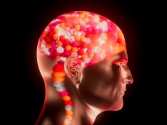 Duży mózg zawdzięczamy mikrobiomowi jelit