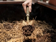 Kompost i siarczyste mrozy. Co zrobić z pryzmą zimą, aby zachować jej wartość?