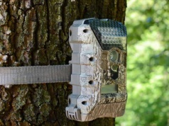 Kraków testuje dodatkowe zabezpieczenia znaków SCT? Kierowcy informują o fotopułapkach