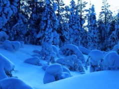 41, 5 stopnia mrozu. Finlandia zużywa rekordowe ilości prądu na ogrzewanie