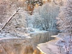 Łyna gwałtownie przybiera. Jest ostrzeżenie IMGW
