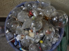 Czy wiesz, gdzie wyrzucić żarówki? Jeden typ to bomba dla środowiska