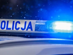 Wpłaciła 330 zł na zakup psa. Straciła pieniądze