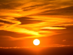 Rola witaminy D w profilaktyce.