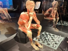 Body Worlds: The Cycle of Life. Spektakularna wystawa we Wrocławiu!