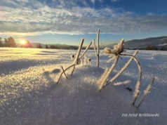 Mróz nawet do minus 20 stopni Celsjusza. IMGW ostrzega