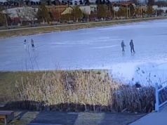 Spacerowicze na zalewie, gołąb uciekinier. Interwencje straży miejskiej