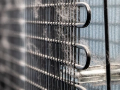 Ten jeden ruch pomaga lodówce zużywać mniej prądu. Większość o nim zapomina