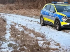 Desperacka próba ucieczki i policyjny pościg