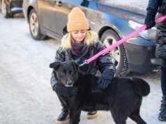 1. Akcja „Rozgrzej Słodziaka” w łódzkim schronisku przerosła oczekiwania. Zabrakło psów!