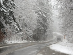 Miał celowo przejechać dwa psy na Mazowszu. Policja namierzyła kierowcę