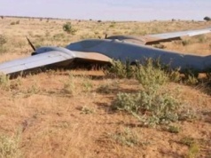 Leżał na afrykańskiej pustyni. Nie powinno go tam być