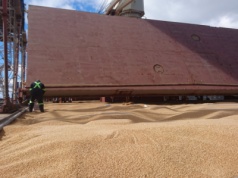 Ukraina w UE? Analizujemy, co to oznacza dla rynku zbóż