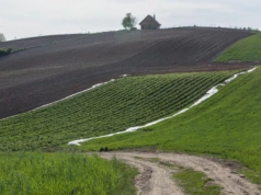 Gmina weszła na działkę bez zgody właściciela. Czy to legalne i kto zapłaci za szkody?