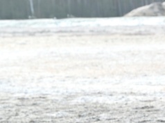 Żołnierka walczy z wojskiem o odszkodowanie. Odmówiono jej przez... wagę